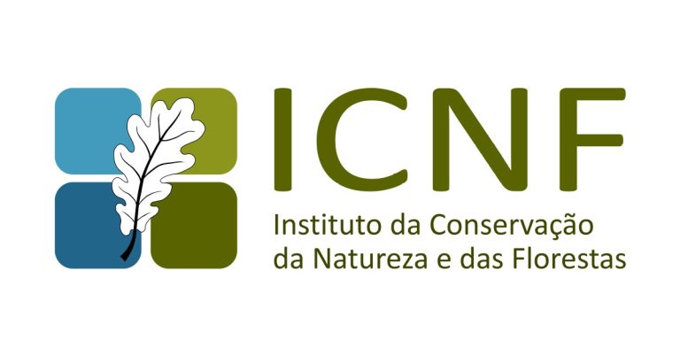 Rádio Regional do Centro: Cantanhede recebe plantação estratégica de pinheiro-bravo
