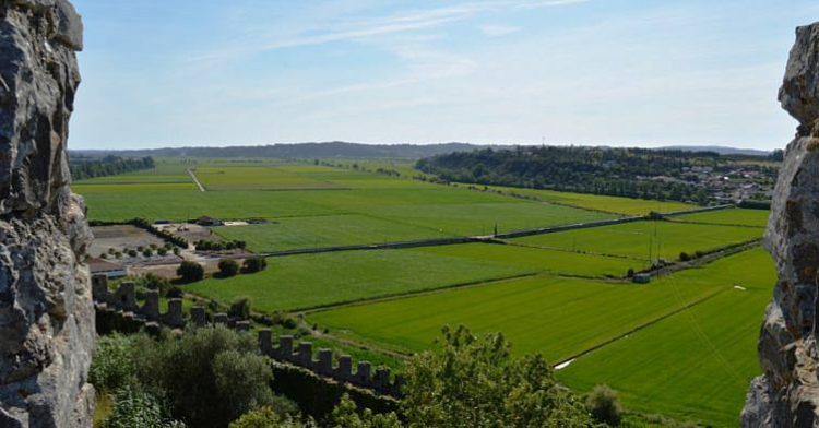 Rádio Regional do Centro: Reparação do canal de rega do Baixo Mondego arranca na próxima semana