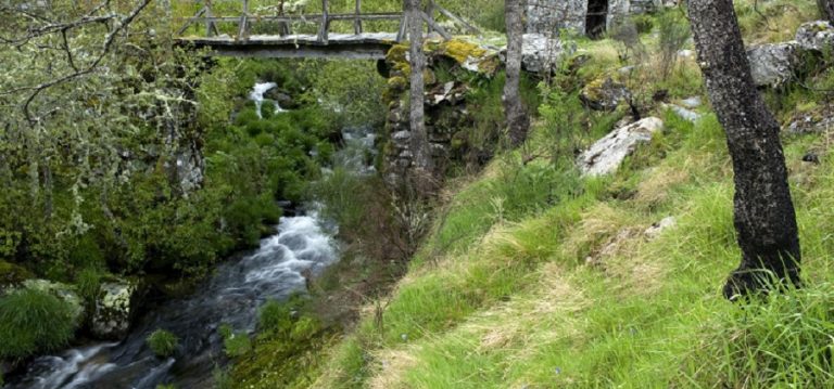 Rádio Regional do Centro: Instituto Miguel Torga identifica três Reservas de Biosfera em risco de perda de estatuto