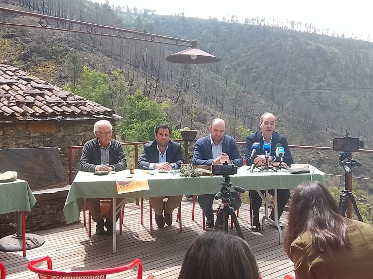 Rádio Regional do Centro: Lousã celebra a identidade e a tradição nos “Fins-de-semana Gastronómicos do Cabrito”