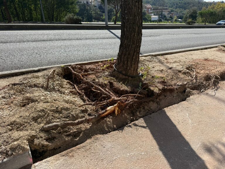 Rádio Regional do Centro: Intervenção na Av. Elísio de Moura avança com base em parecer técnico da UC
