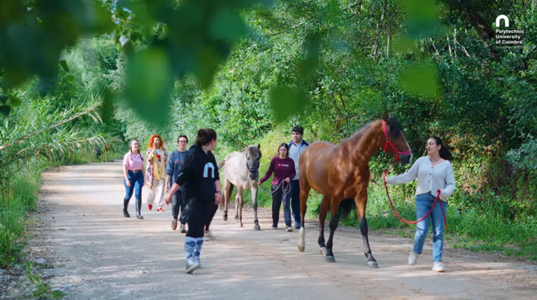Rádio Regional do Centro: Horse Buddy: projecto do IPC une cavalos e bem-estar dos estudantes