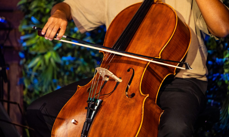 Rádio Regional do Centro: Festival de Violoncelo À Corda regressa a Coimbra
