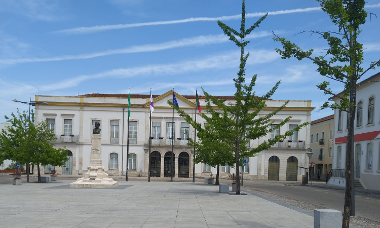 Rádio Regional do Centro: Anadia assinala Semana Europeia do Desporto com actividades para várias idades