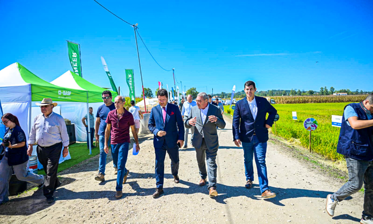 Rádio Regional do Centro: Mondego Agrícola debateu inovação e futuro do sector em Montemor-o-Velho