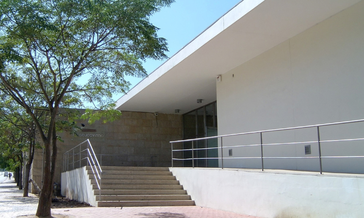 Rádio Regional do Centro: Museu do Vinho Bairrada assinala 23.º aniversário com quatro dias de programação