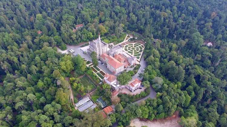 Rádio Regional do Centro: Mata do Bussaco regista em Agosto melhor resultado de sempre